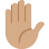 :raised_hand:t4: :raised_hand:t4: