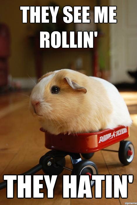 I rolling. They see me Rollin they hatin. See me Rollin. They see me Rolling they hating. Rollin Мем.
